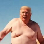 The Fat Fuck Roy Loves